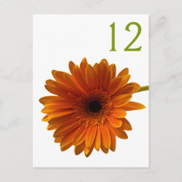 Orange Gerbera Daisy Tischnummer Card