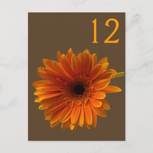 Orange Gerbera Daisy Tischnummer Card (Vorderseite)