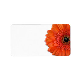 Orange Gerbera Daisy Wedding Blank Address Labels Adressaufkleber