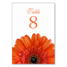 Orange Gerbera Daisy White Wedding