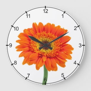 Orange Gerbera-Gänseblümchen-Blume Große Wanduhr