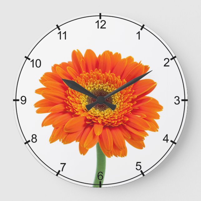 Orange Gerbera-Gänseblümchen-Blume Große Wanduhr (Vorderseite)