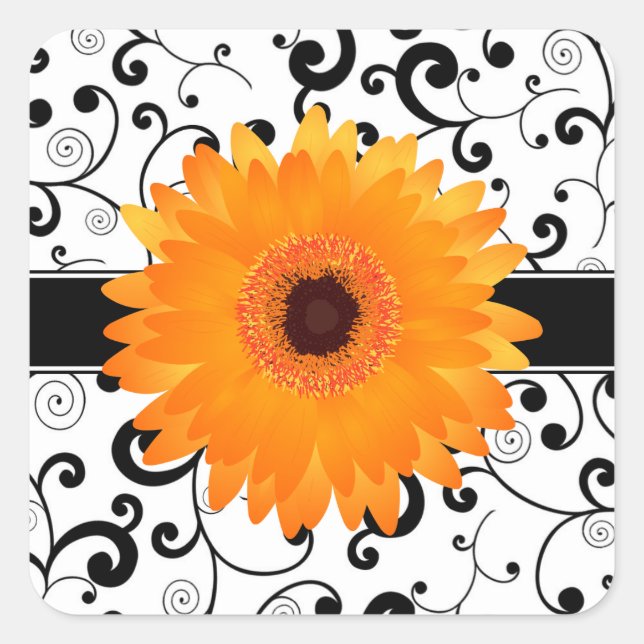 Orange Gerbera-Gänseblümchen mit schwarzem Quadratischer Aufkleber (Vorderseite)