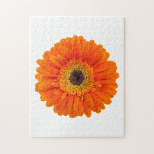 Orange Gerbera-Gänseblümchen Puzzle