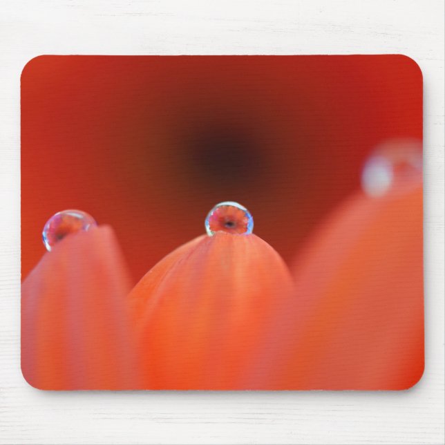 Orange Gerbera Refraka Mousepad (Vorne)