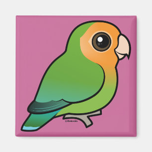 Orange-gesichtiger Pfirsich-gesichtiger Lovebird Magnet