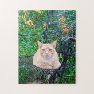 Orange getigerte Katze sitzt auf Stuhl Foto Puzzle