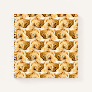 Orange Ginger Cat Pattern Notizbuch