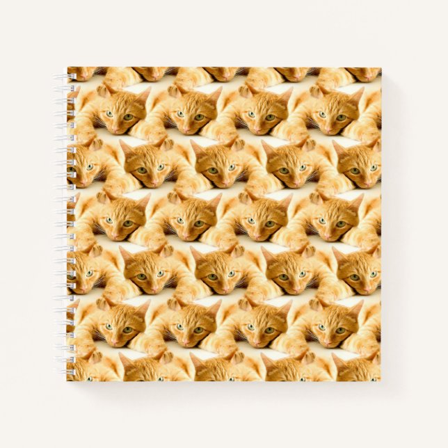 Orange Ginger Cat Pattern Notizbuch (Vorderseite)