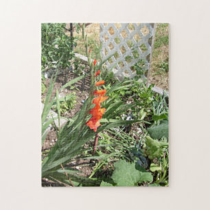 orange Gladiolen Puzzle