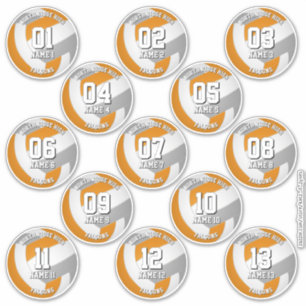 orange graue Volleyball-Mannschaftsaufkleber 13 At Aufkleber