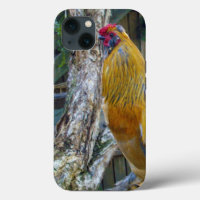 Orange Gray Fluffy Rooster,