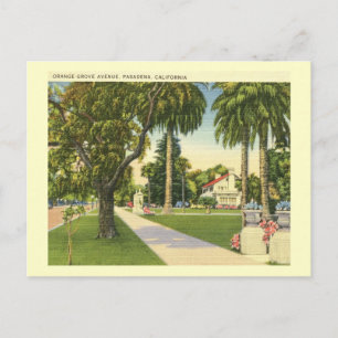 Orange Grove Ave, Pasadena, Kalifornien Vintag Postkarte