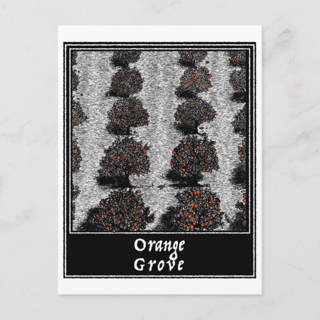Orange Grove Postkarte (Vorderseite)
