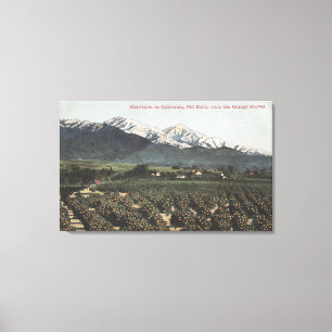 Orange Groves mit Old Baldy Mt in Entfernung Leinwanddruck