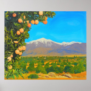 Orange Groves Snow Capped Berg Baldy Anfang der 19 Poster