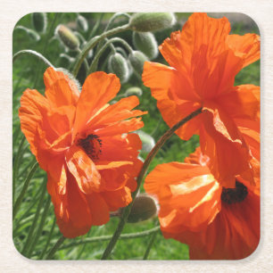 Orange Harvest Moon Oriental Poppies Rechteckiger Pappuntersetzer