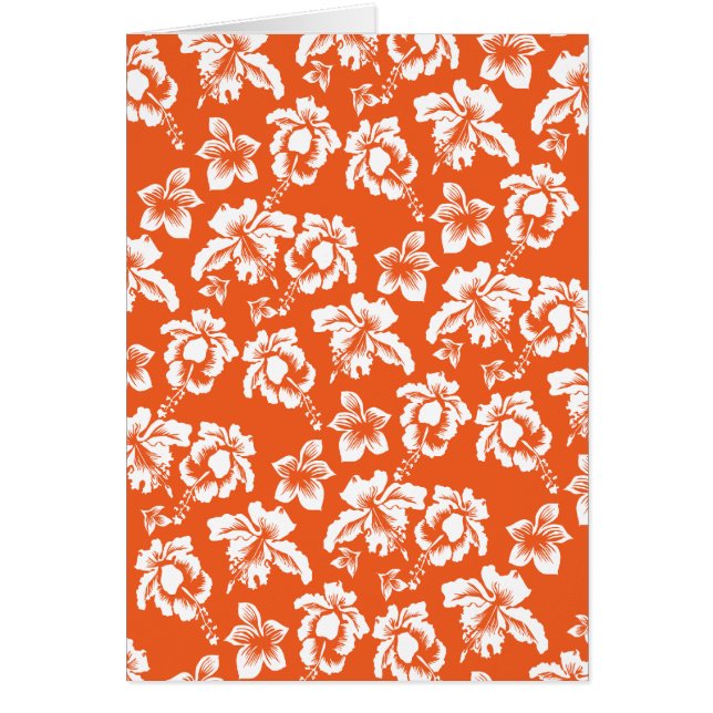 Orange Hawaiian Hibiskus (Vorne)