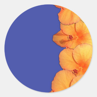 Orange Hawaiian Hibiskus Blume Runder Aufkleber