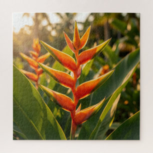 Orange Heliconia Tropische Blume Golden Hour  Puzzle
