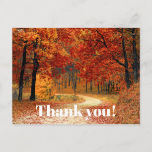 Orange Herbst / Herbstlaub Foto Danke Postkarte