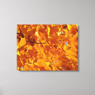 Orange Herbstblätter Baum Kunst Drucke Leinwand Ge