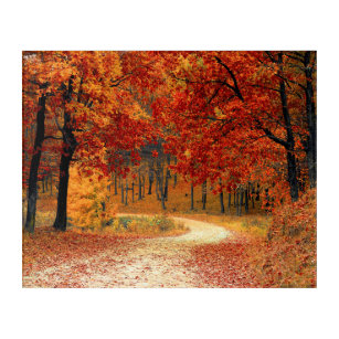 Orange Herbstlaubs Country Dirt Road Foto Acryl Wandkunst