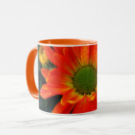 Orange Herbstliche Blume Tasse Getränke