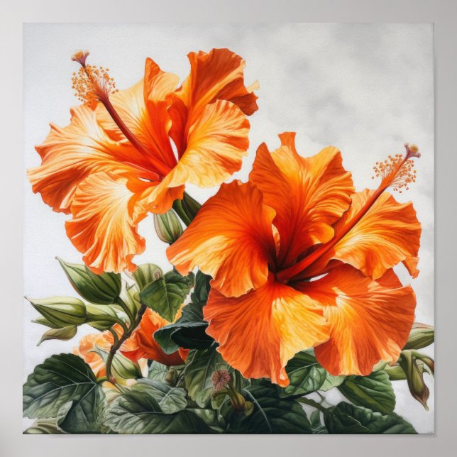 Orange Hibisken Blume Art Print Poster (Vorne)