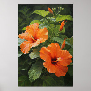 Orange Hibisken Blume Art Print Poster