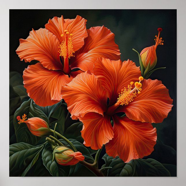 Orange Hibisken Blume Art Print Poster (Vorne)