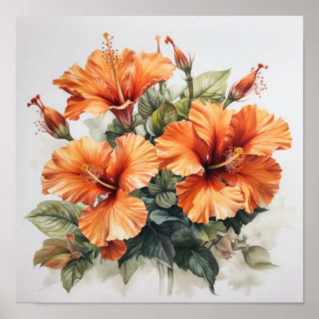 Orange Hibisken Blume Art Print Poster (Vorne)