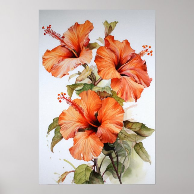 Orange Hibisken Blume Art Print Poster (Vorne)