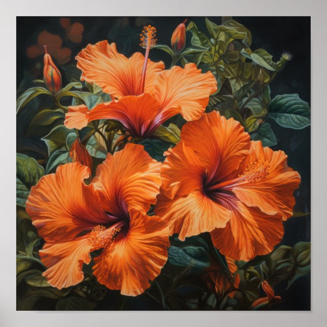 Orange Hibisken Blume Art Print Poster (Vorne)