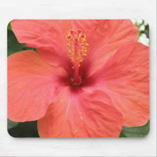 Orange Hibisken Blume Macro Mousepad