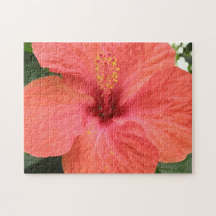 Orange Hibisken Blume Makro Puzzle