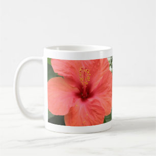 Orange Hibisken Blume Makro Tasse