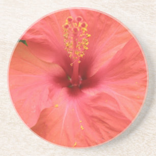 Orange Hibisken Blume Makro-Untersetzer Getränkeuntersetzer