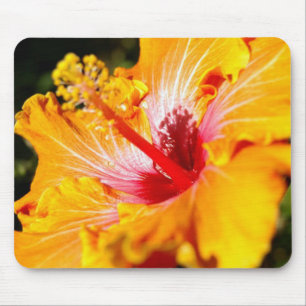 Orange Hibisken Blume Seitenansicht Mousepad