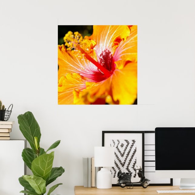 Orange Hibisken Blume Seitenansicht Poster (Heimbüro)