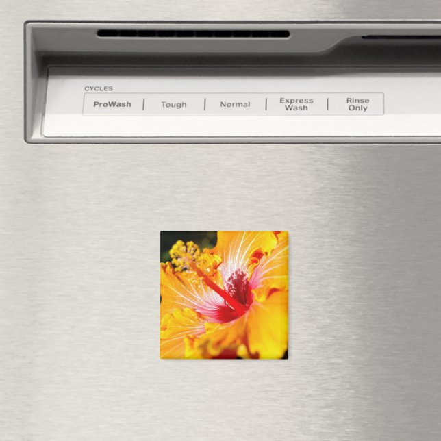 Orange Hibisken Side View Magnet (In Situ (Geschirrspüler))