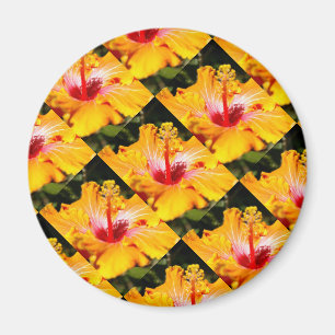 Orange Hibisken Side View Magnet