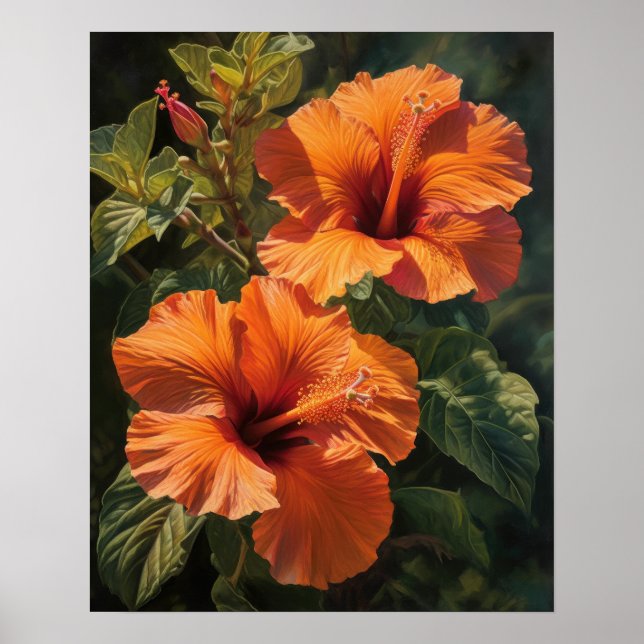 Orange Hibiskus Blume Art Print Poster (Vorne)