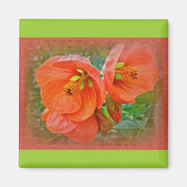 Orange Hibiskus Blume Magnet (Vorne)