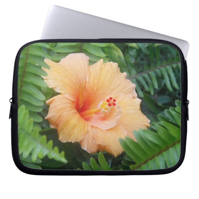 Orange Hibiskus Blume mit Ferns Laptopschutzhülle (Vorderseite)