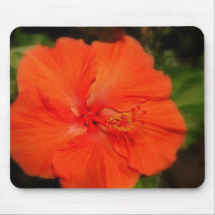 Orange Hibiskus Blume Mousepad