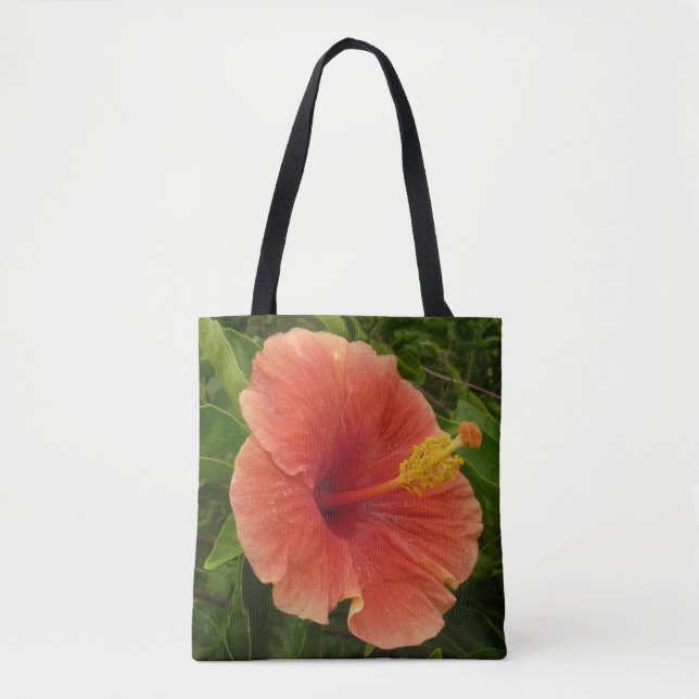 Orange Hibiskus Blume Tropenflora (Vorderseite)