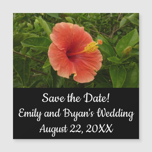 Orange Hibiskus Blume Tropenflora Magnetkarte (Vorderseite)