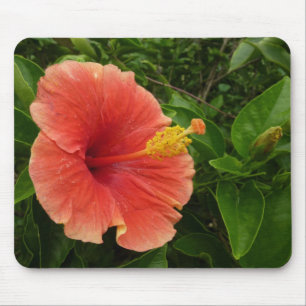 Orange Hibiskus Blume Tropenflora Mousepad