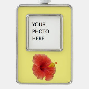 Orange Hibiskus Blume Tropenflora Rahmen-Ornament Silber